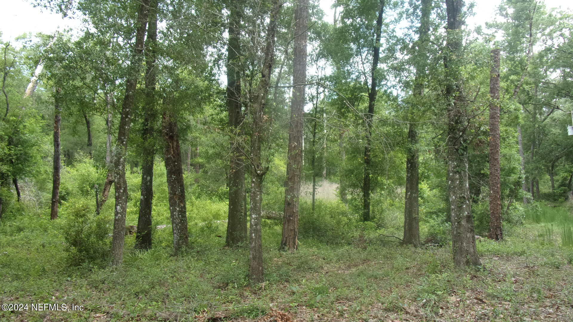 141 Crosby Road Florahome, FL 32140 - Photo 16 of 23 020