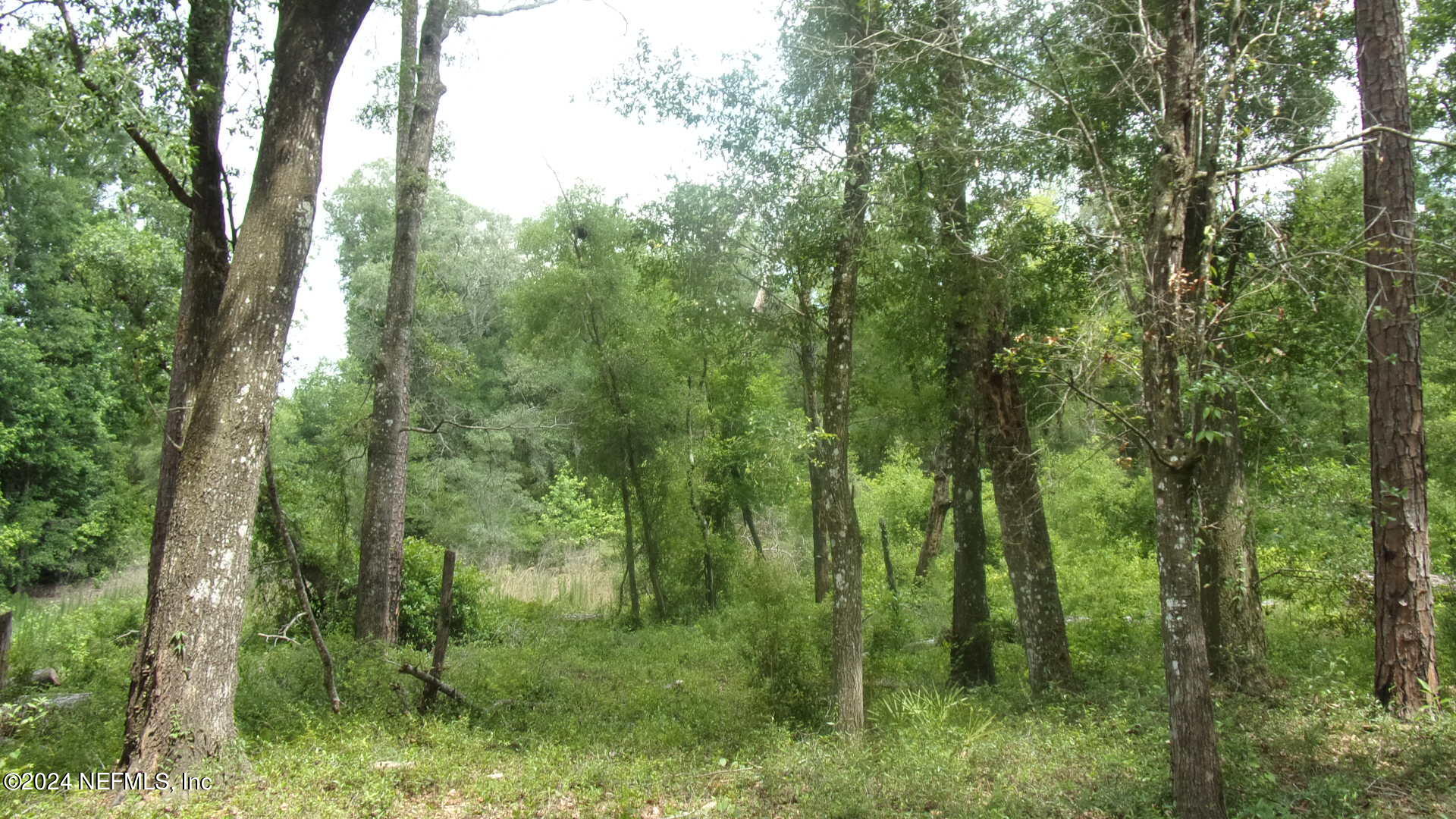 141 Crosby Road Florahome, FL 32140 - Photo 17 of 23 021