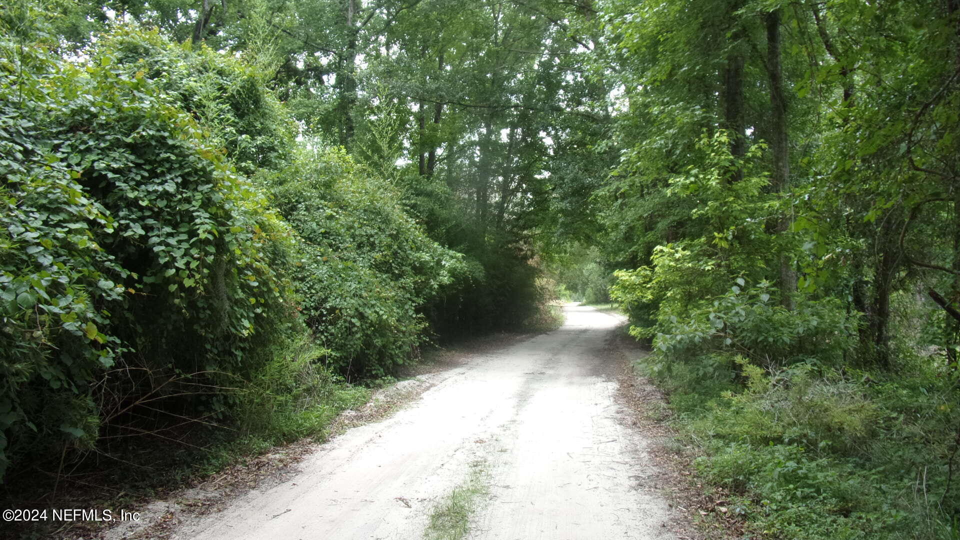 141 Crosby Road Florahome, FL 32140 - Photo 18 of 23 022