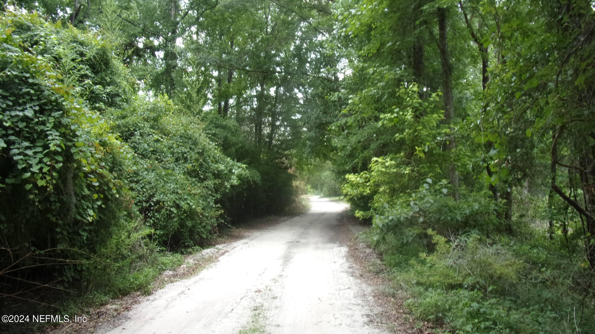 141 Crosby Road Florahome, FL 32140 - Photo 19 of 23 024