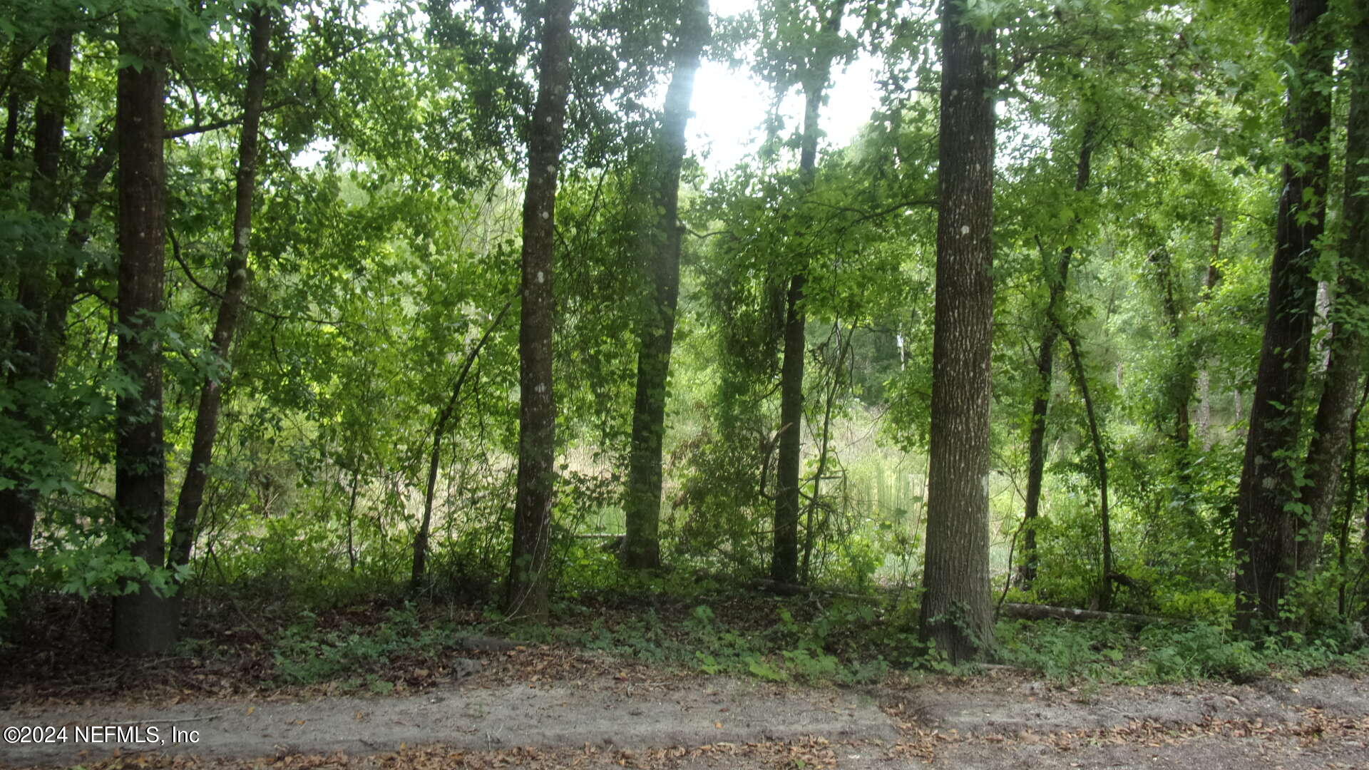 141 Crosby Road Florahome, FL 32140 - Photo 20 of 23 025