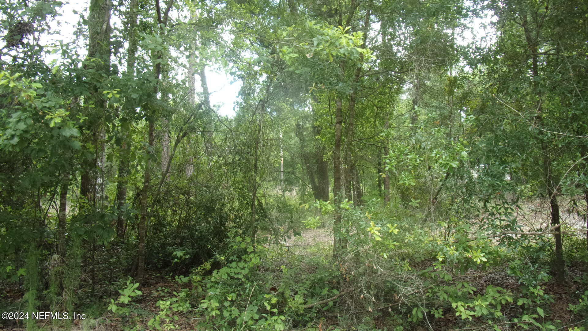 141 Crosby Road Florahome, FL 32140 - Photo 2 of 23 004