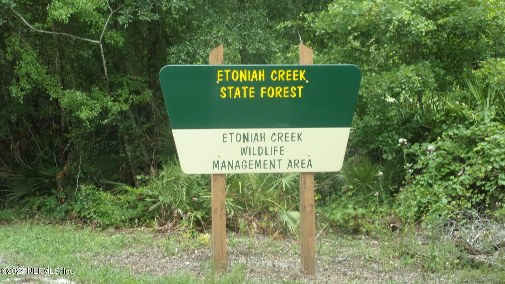 141 Crosby Road Florahome, FL 32140 - Photo 22 of 23 029