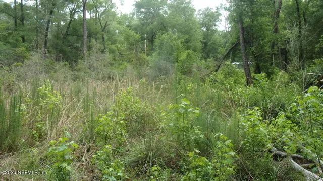 $37,000 | 141 Crosby Road, Florahome, FL 32140