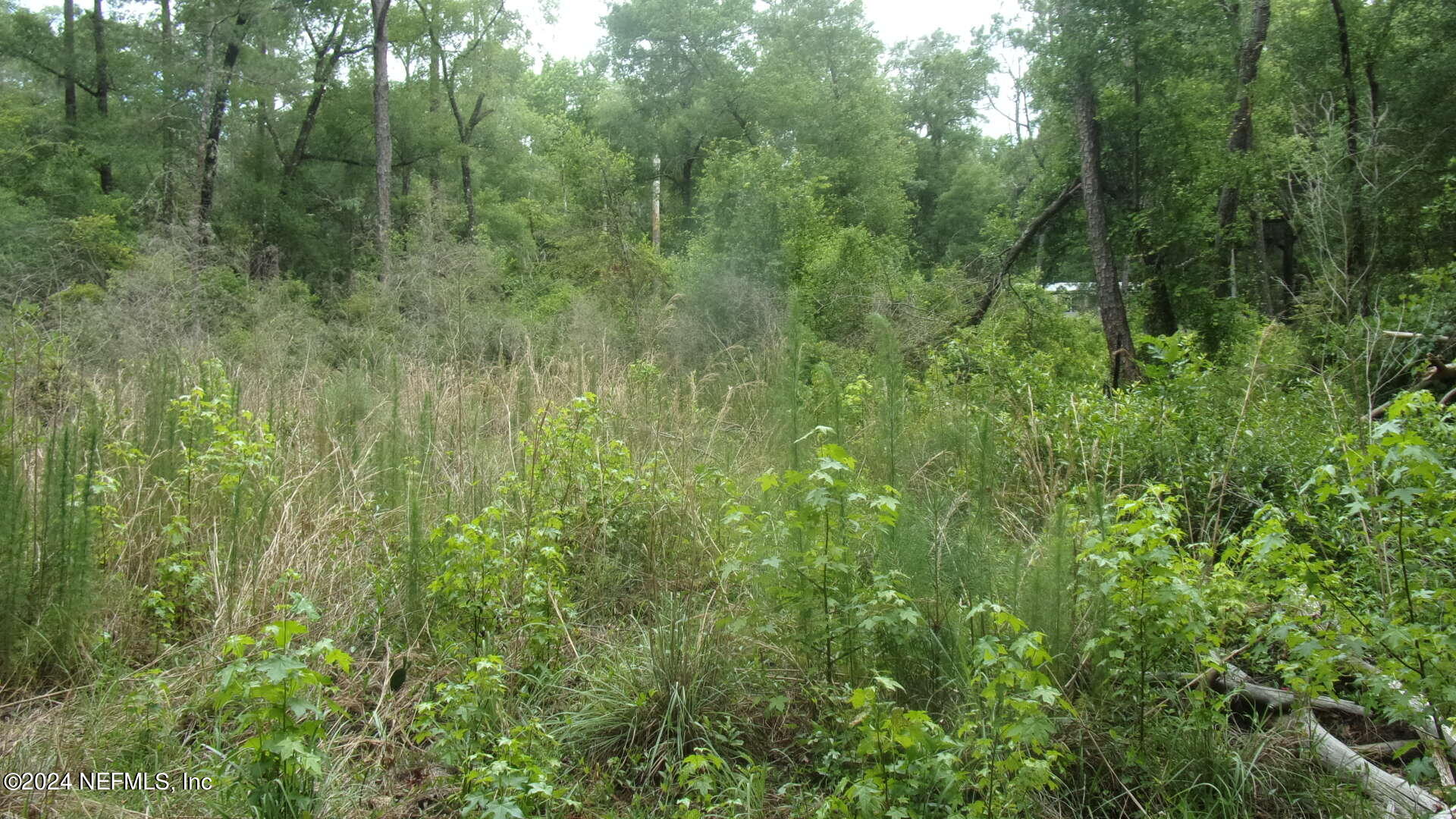 141 Crosby Road Florahome, FL 32140 - Photo 3 of 23 012