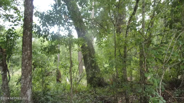 $37,000 | 141 Crosby Road, Florahome, FL 32140