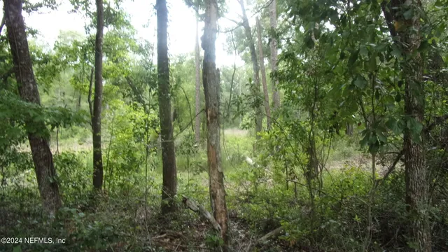 $37,000 | 141 Crosby Road, Florahome, FL 32140