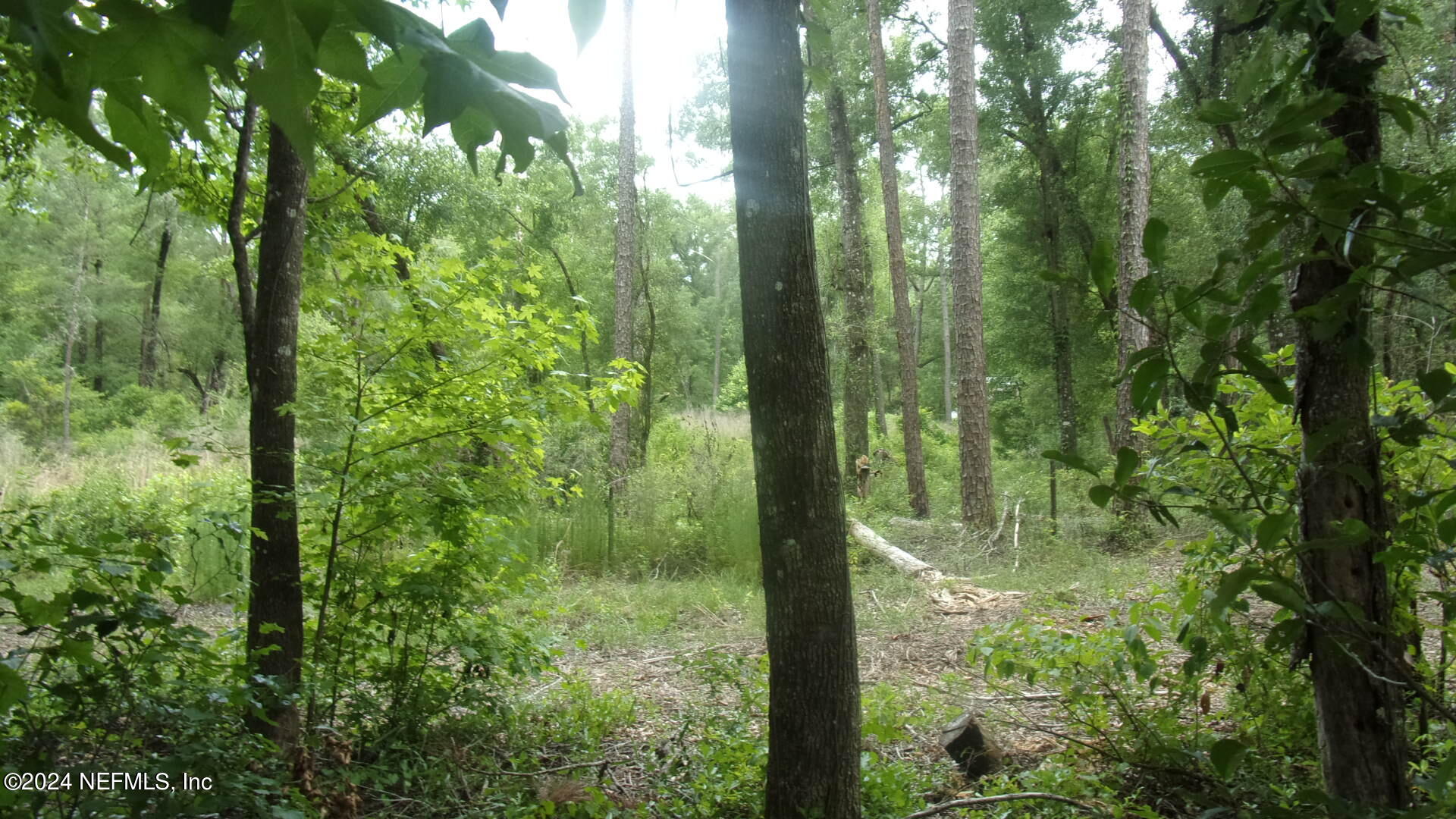 141 Crosby Road Florahome, FL 32140 - Photo 6 of 23 008