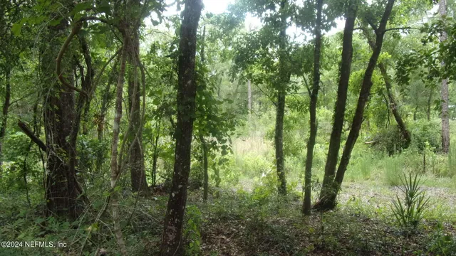 $37,000 | 141 Crosby Road, Florahome, FL 32140