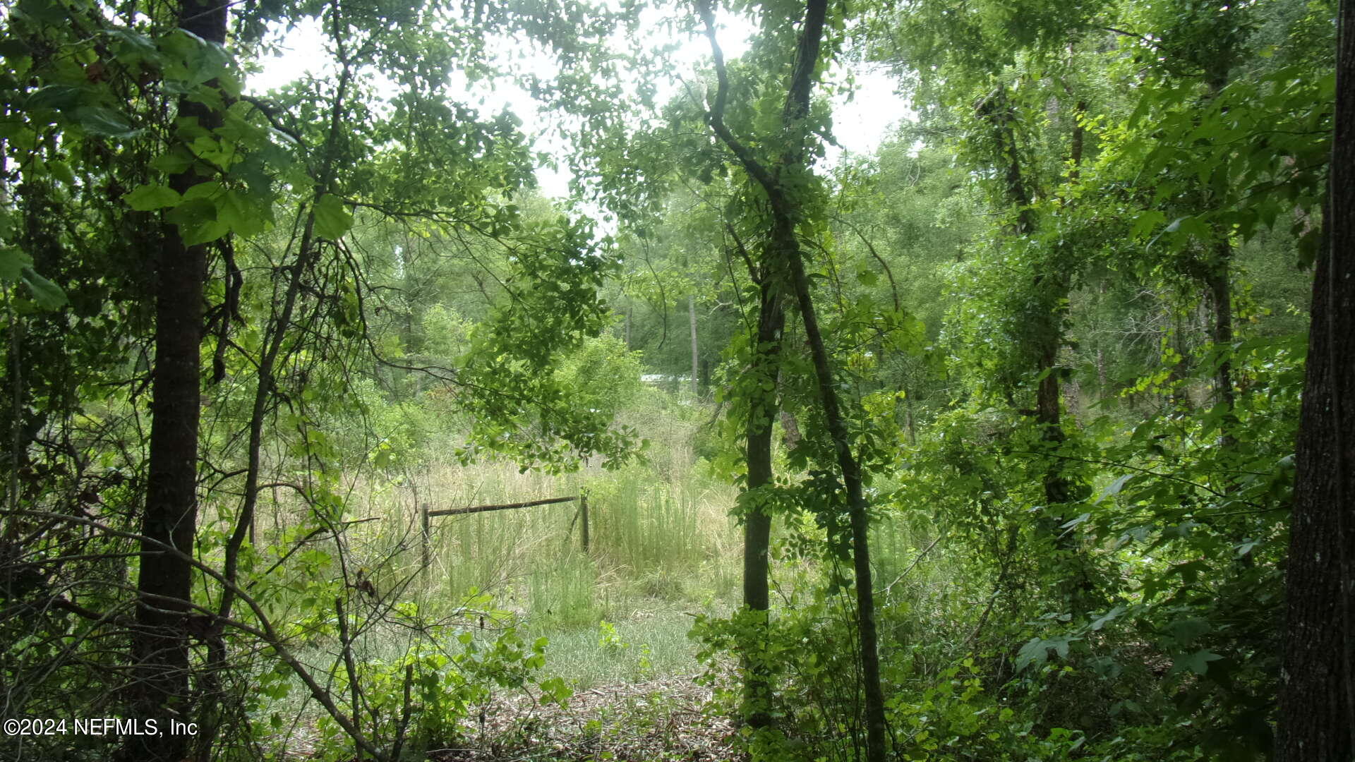 141 Crosby Road Florahome, FL 32140 - Photo 8 of 23 010