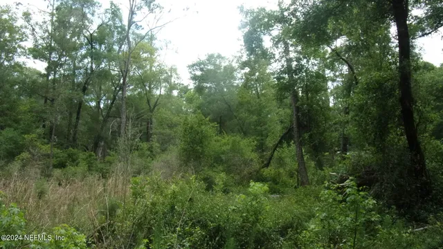 $37,000 | 141 Crosby Road, Florahome, FL 32140