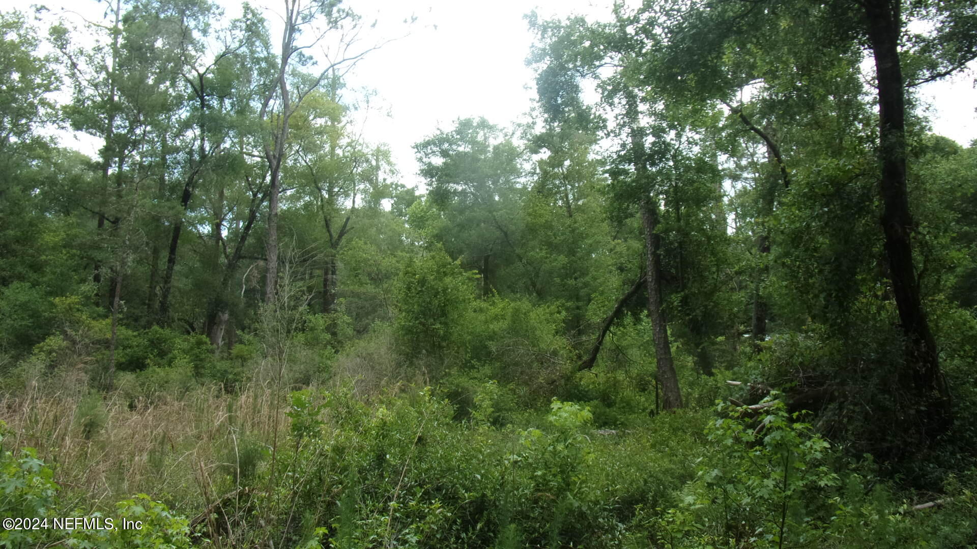 141 Crosby Road Florahome, FL 32140 - Photo 10 of 23 013