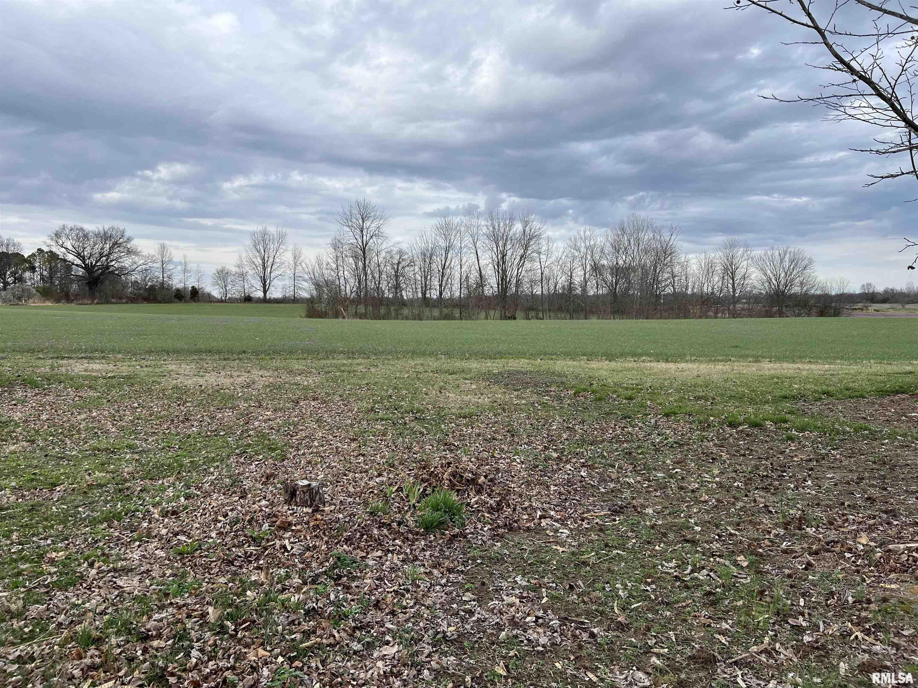 1917 Ava Road Murphysboro, IL 62966 - Photo 23 of 25 Gallery Image 23