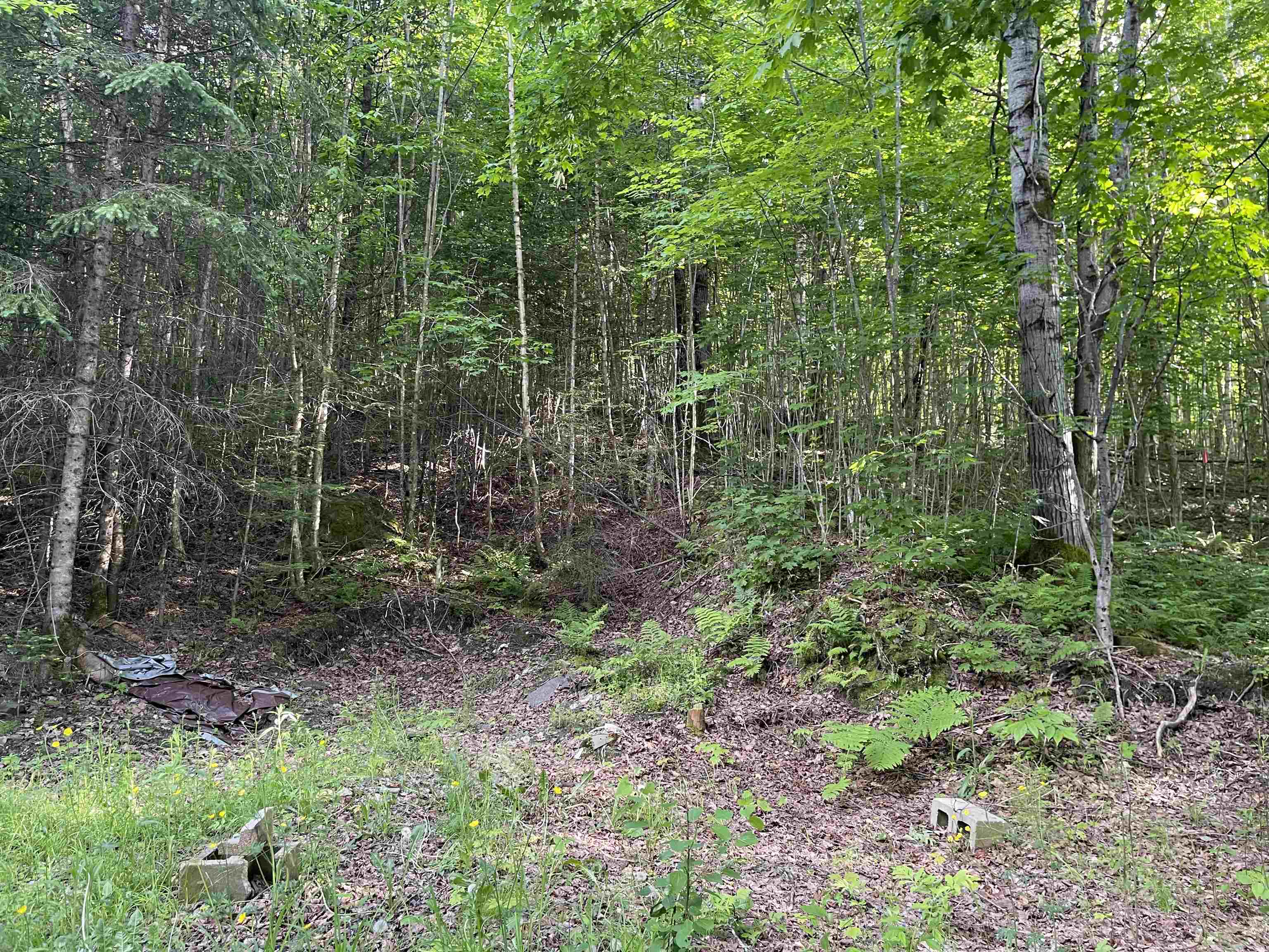 12 Cooke Road Stewartstown, NH 03576 - Photo 3 of 7
