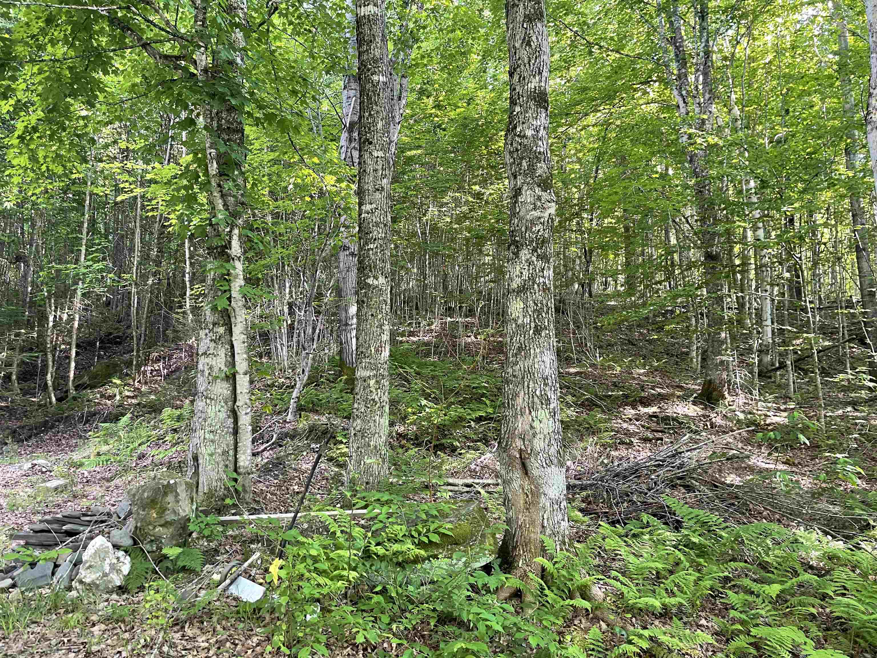 12 Cooke Road Stewartstown, NH 03576 - Photo 5 of 7