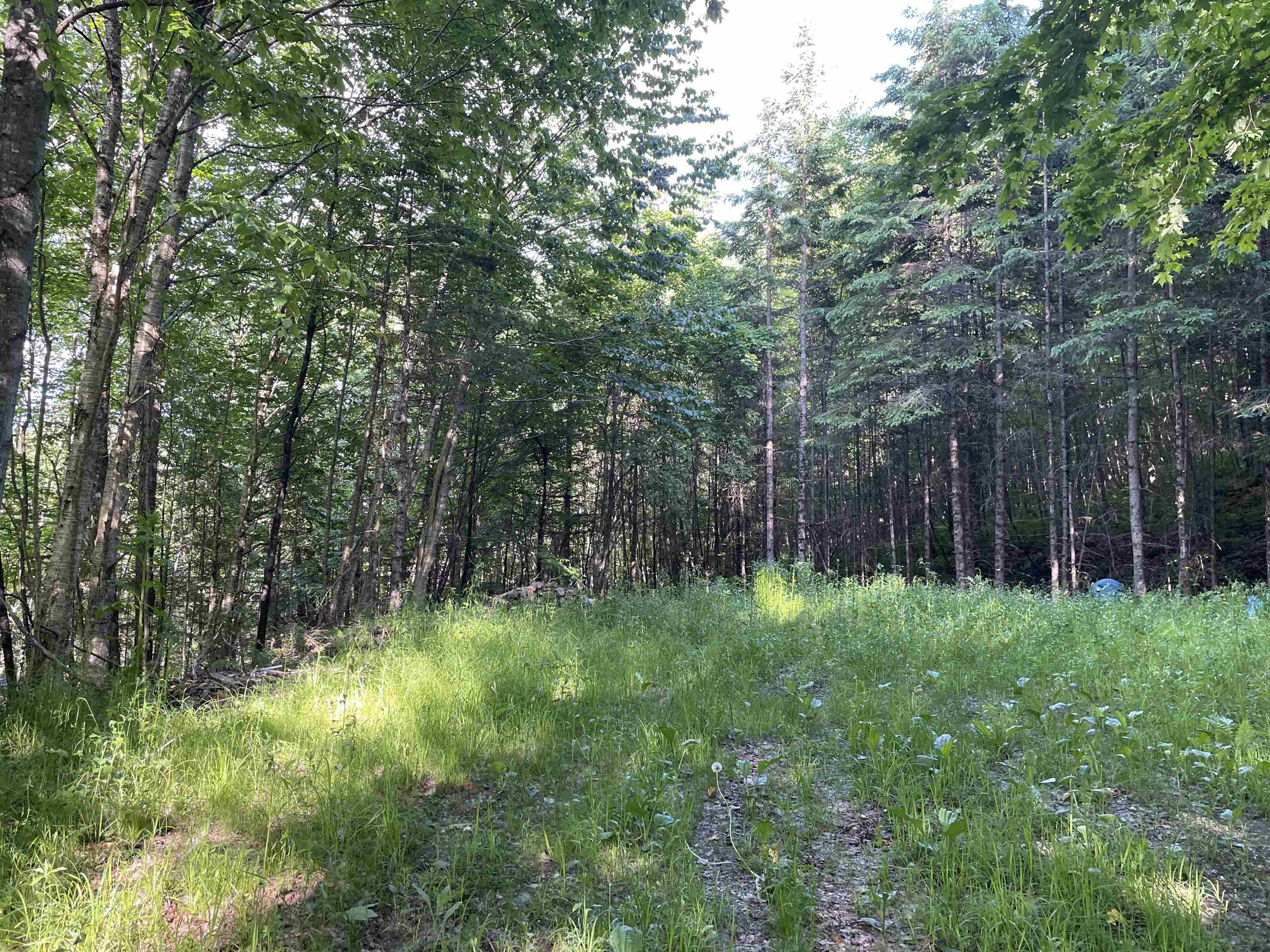 12 Cooke Road Stewartstown, NH 03576 - Photo 7 of 7