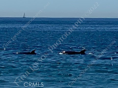 34134 Selva Road, Unit 248 Dana Point, CA 92629 - Photo 26 of 37