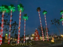 34134 Selva Road, Unit 248 Dana Point, CA 92629 - Photo 30 of 37