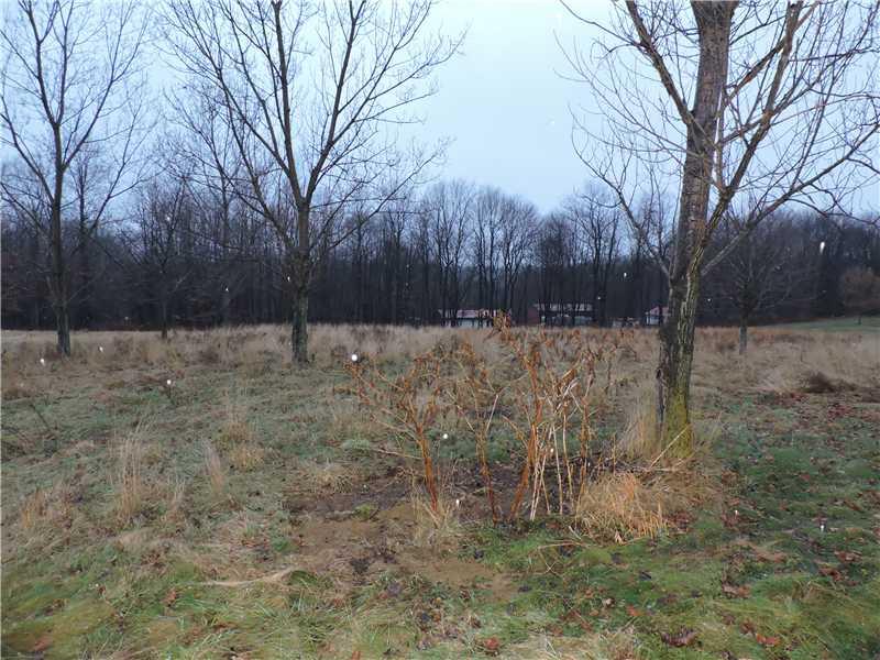 122 Rider Road Chicora, PA 16025 - Photo 18 of 21 Yard/Garden.
