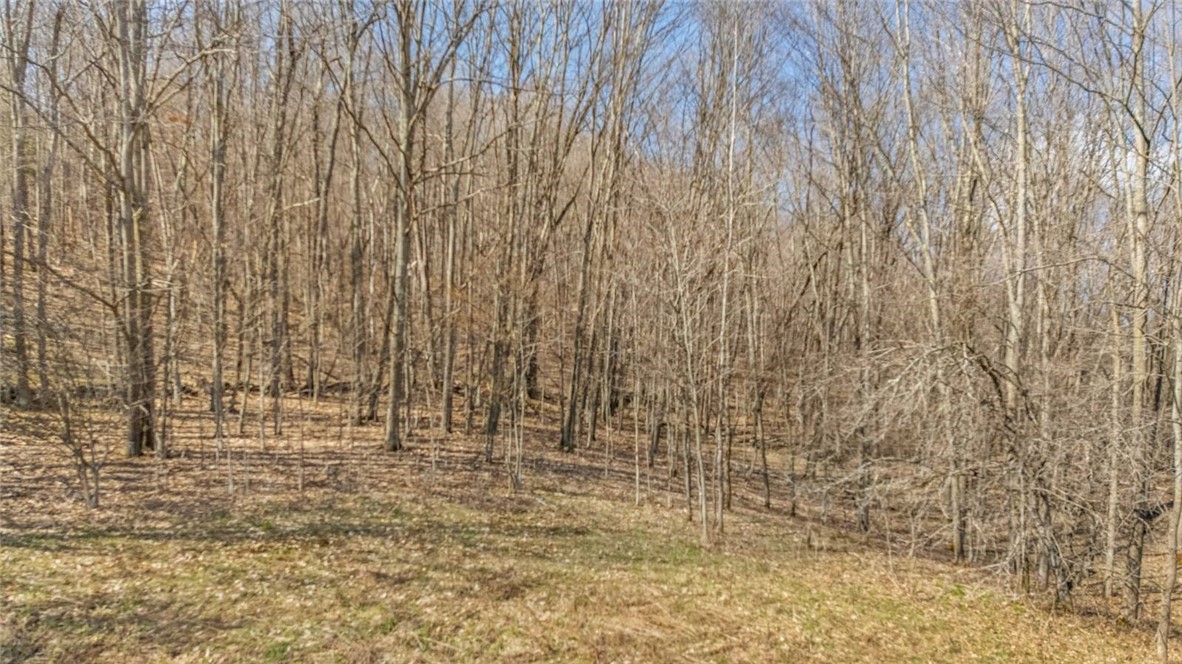 L9.111 Lutheranville Road East Worcester, NY 12064 - Photo 17 of 23