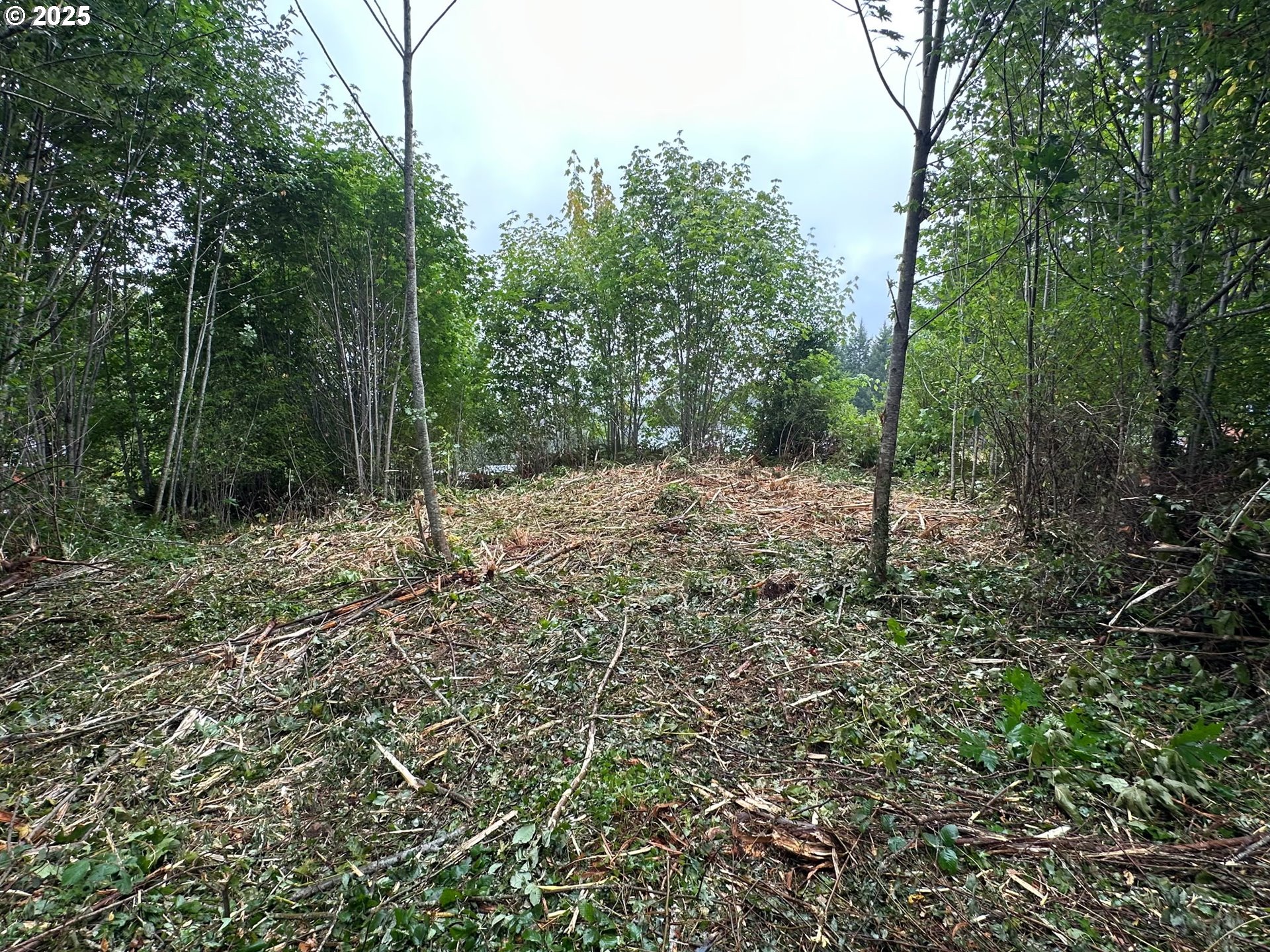 0 Bear Road Seaside, OR 97138 - Photo 1 of 12