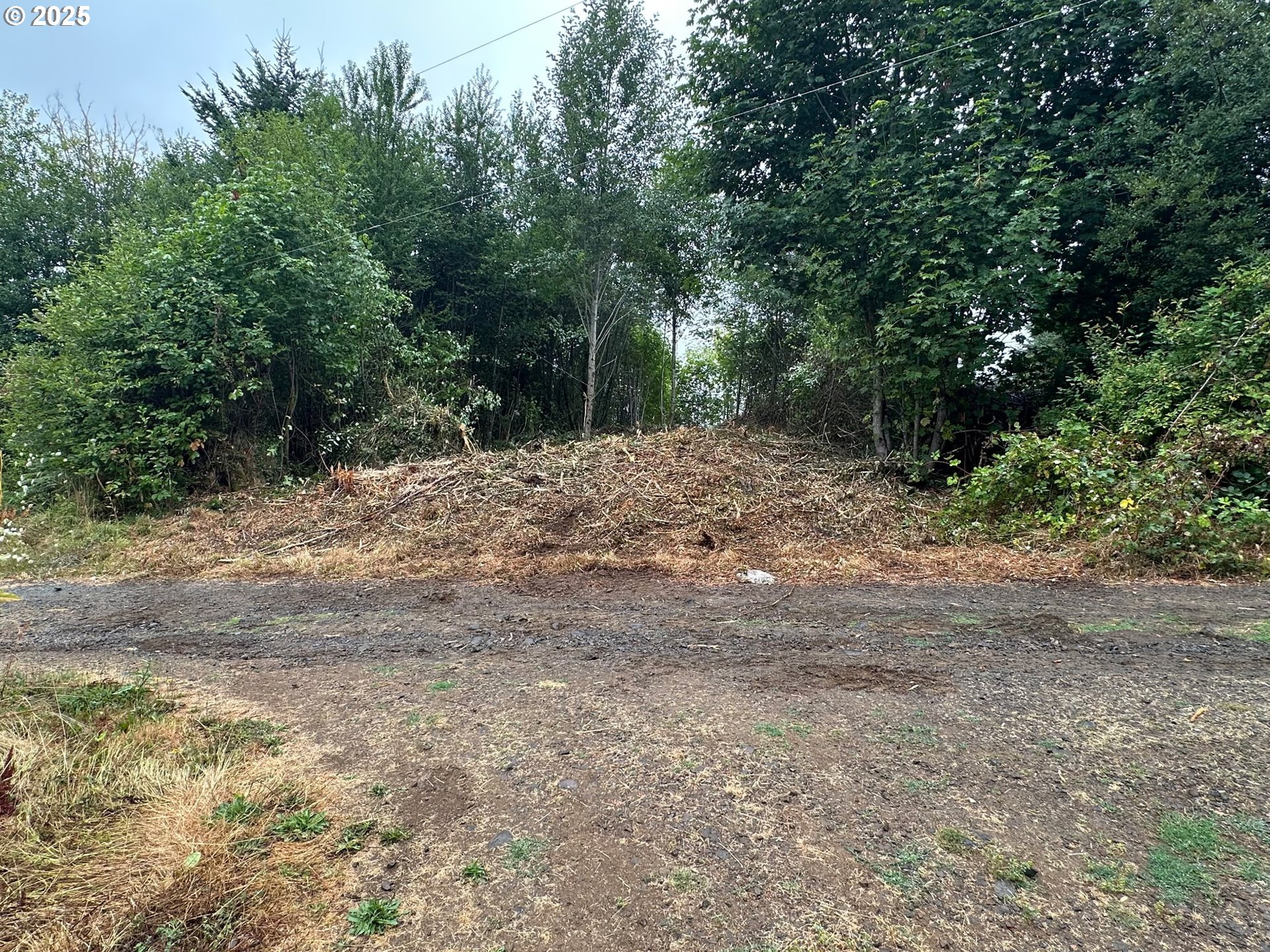 0 Bear Road Seaside, OR 97138 - Photo 2 of 12