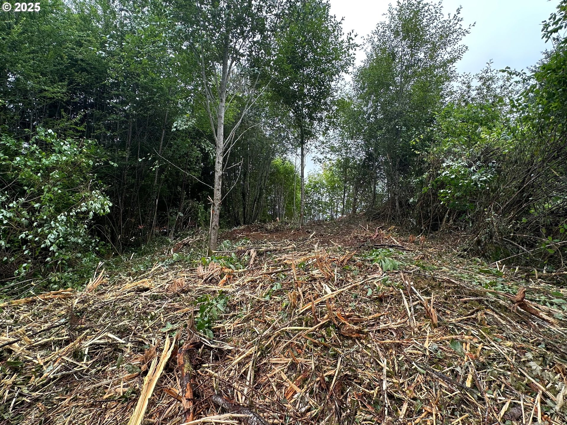 0 Bear Road Seaside, OR 97138 - Photo 3 of 12