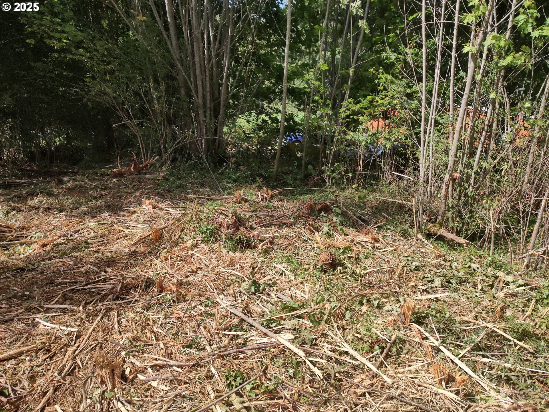 0 Bear Road Seaside, OR 97138 - Photo 4 of 12