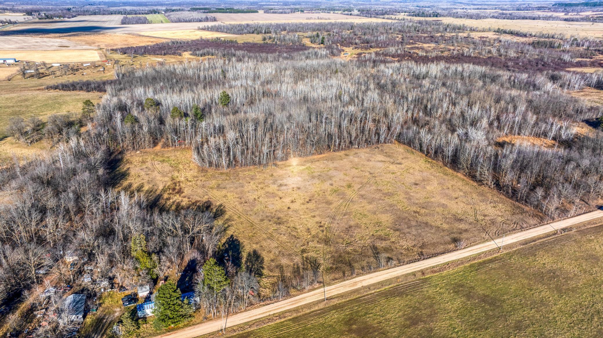 Tbd Gillman Road Northeast Puposky, MN 56667 - Photo 11 of 18