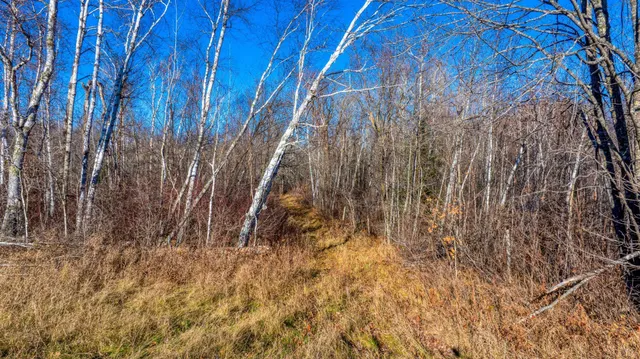 $119,900 | Tbd Gillman Road Northeast, Puposky, MN 56667