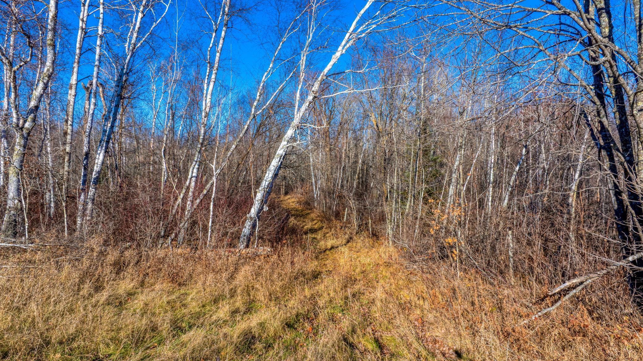 Tbd Gillman Road Northeast Puposky, MN 56667 - Photo 2 of 18