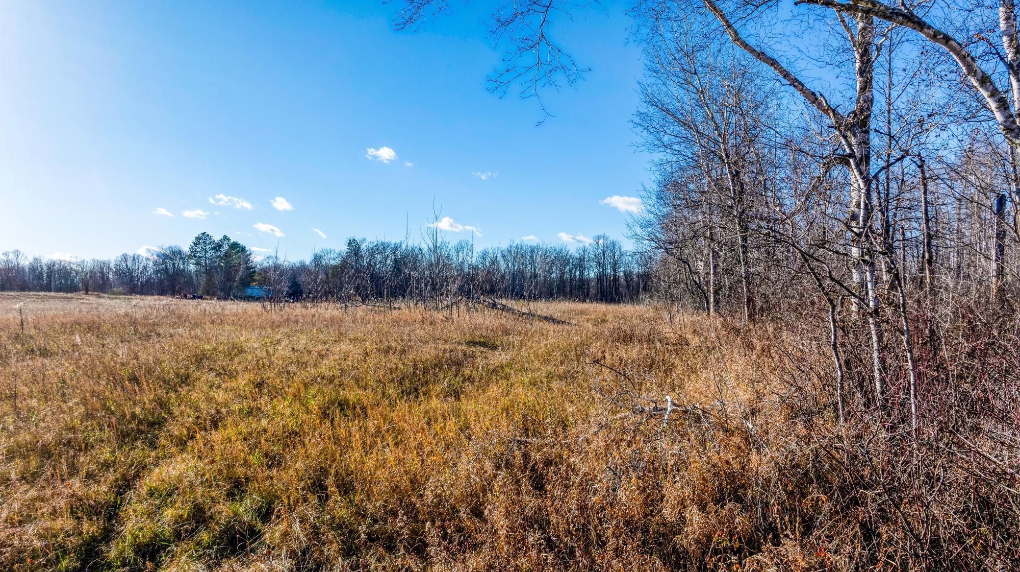 Tbd Gillman Road Northeast Puposky, MN 56667 - Photo 3 of 18