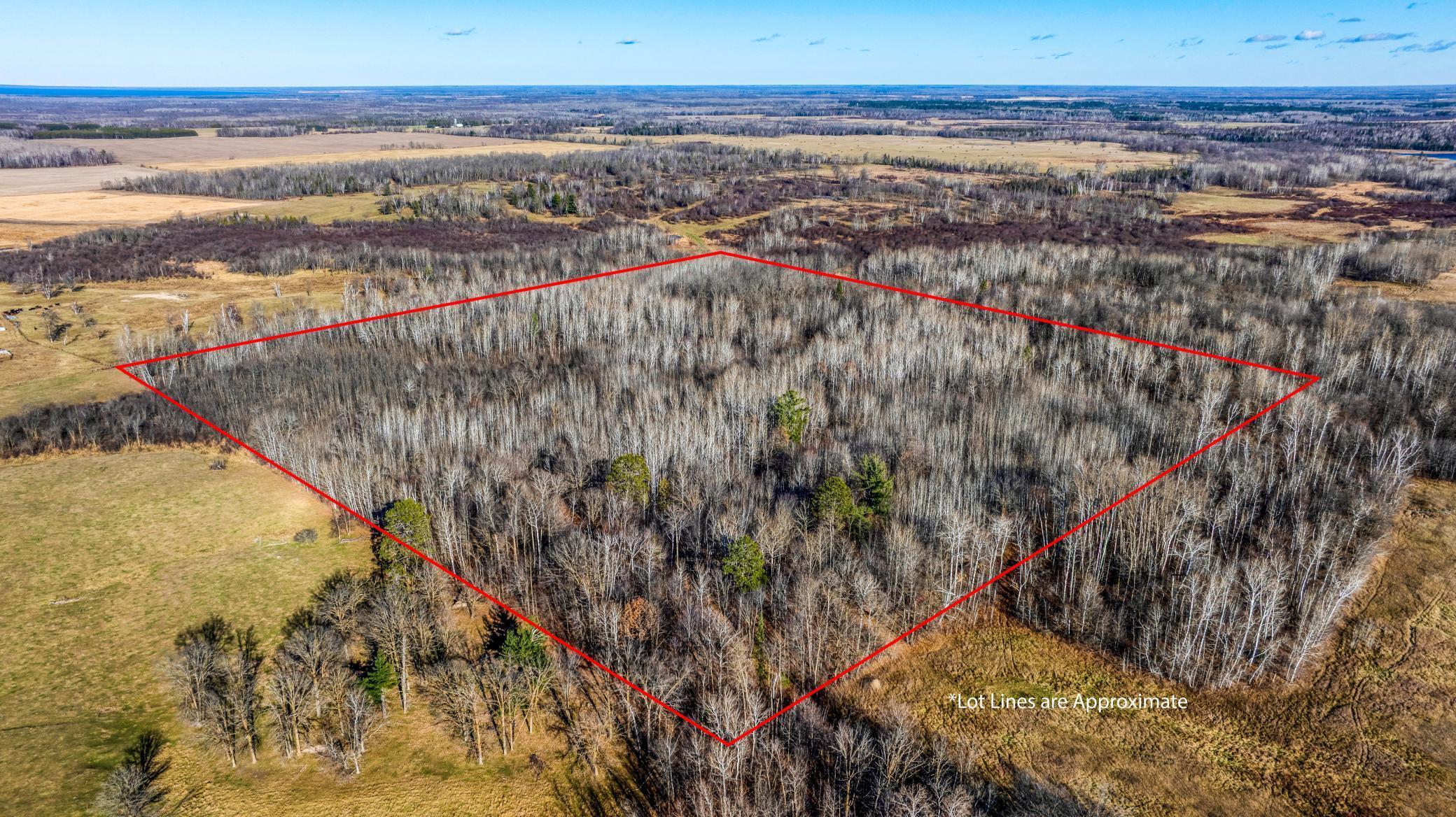 Tbd Gillman Road Northeast Puposky, MN 56667 - Photo 5 of 18