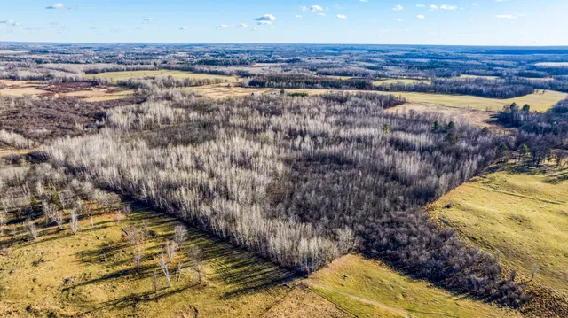 $119,900 | Tbd Gillman Road Northeast, Puposky, MN 56667