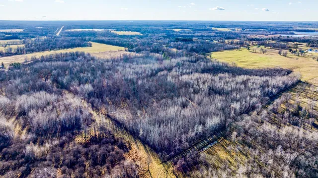 $119,900 | Tbd Gillman Road Northeast, Puposky, MN 56667