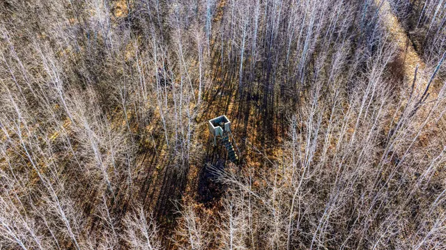 $119,900 | Tbd Gillman Road Northeast, Puposky, MN 56667