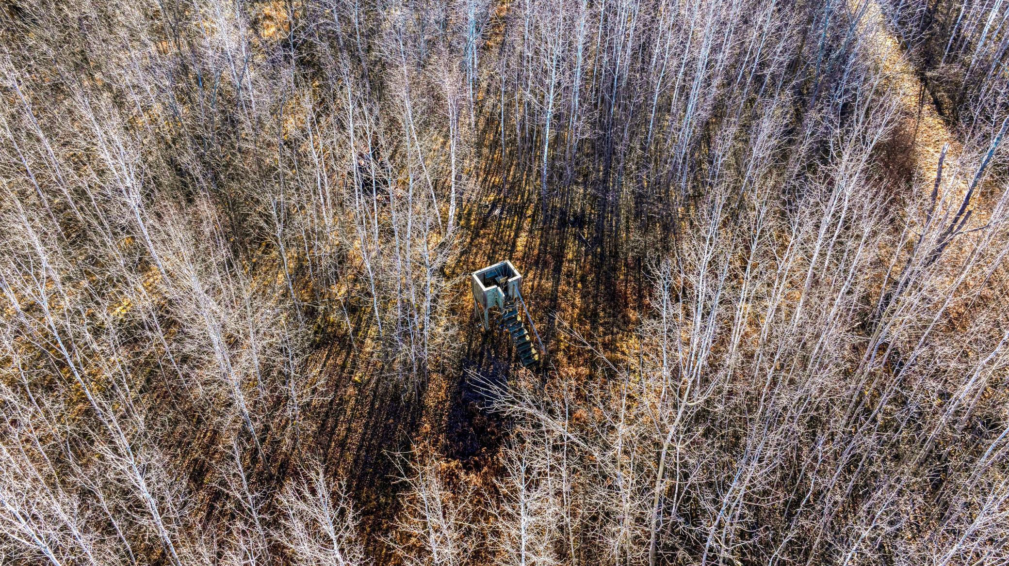 Tbd Gillman Road Northeast Puposky, MN 56667 - Photo 8 of 18