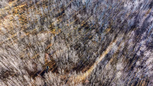 $119,900 | Tbd Gillman Road Northeast, Puposky, MN 56667