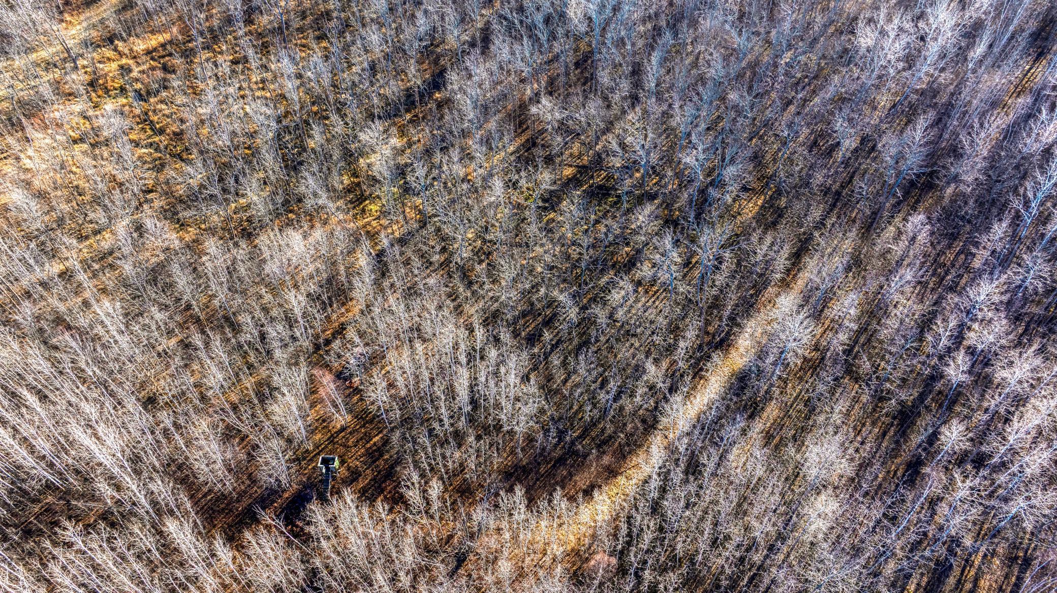 Tbd Gillman Road Northeast Puposky, MN 56667 - Photo 9 of 18