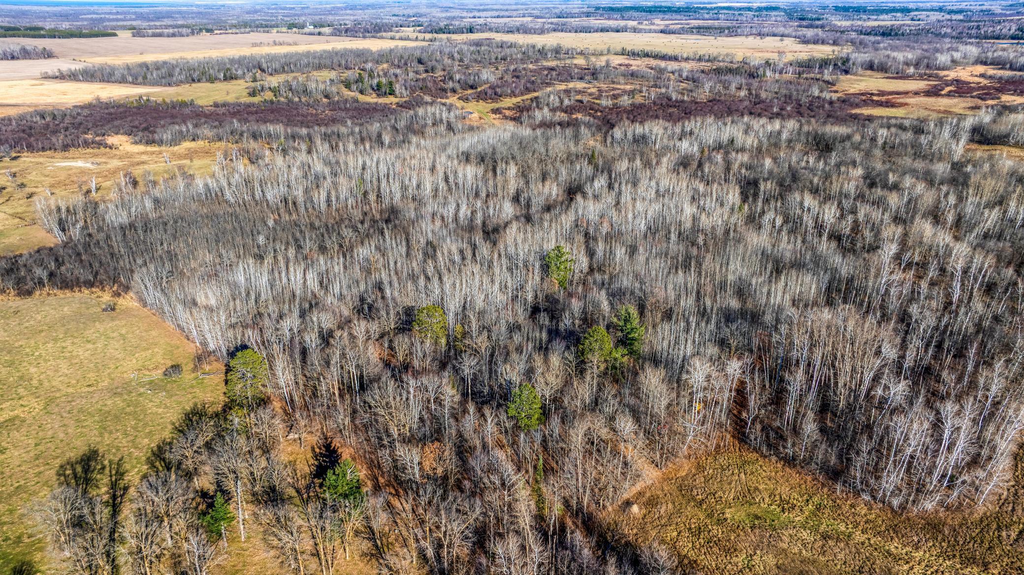 Tbd Gillman Road Northeast Puposky, MN 56667 - Photo 10 of 18