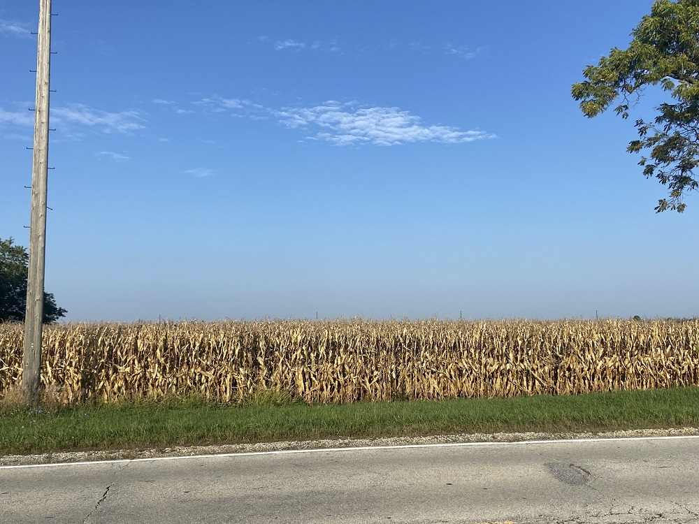 28244 South Lagrange Rd  