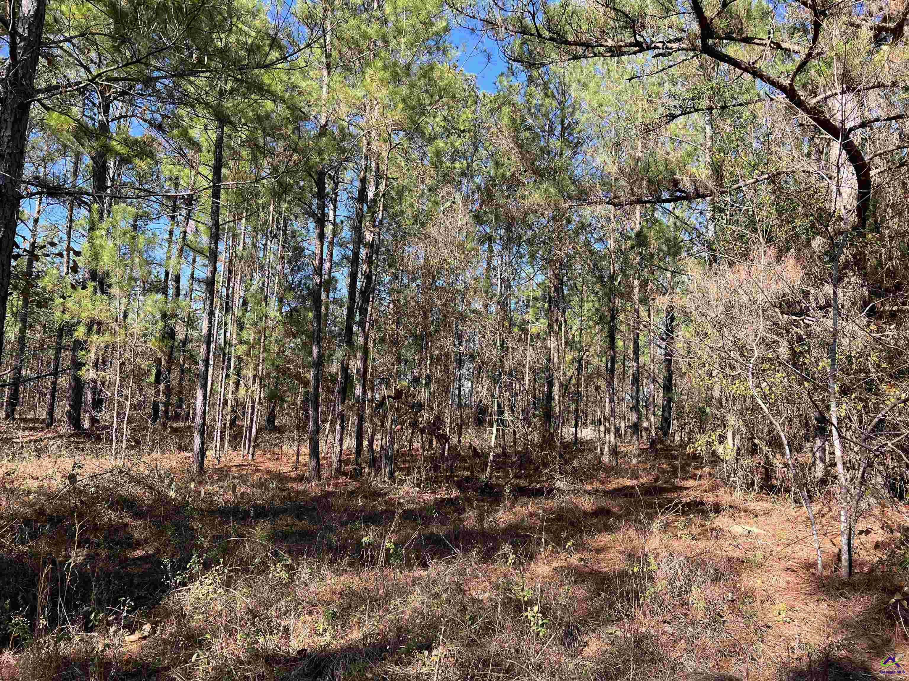 Denny Coley Road Cochran, GA 31014 - Photo 3 of 6
