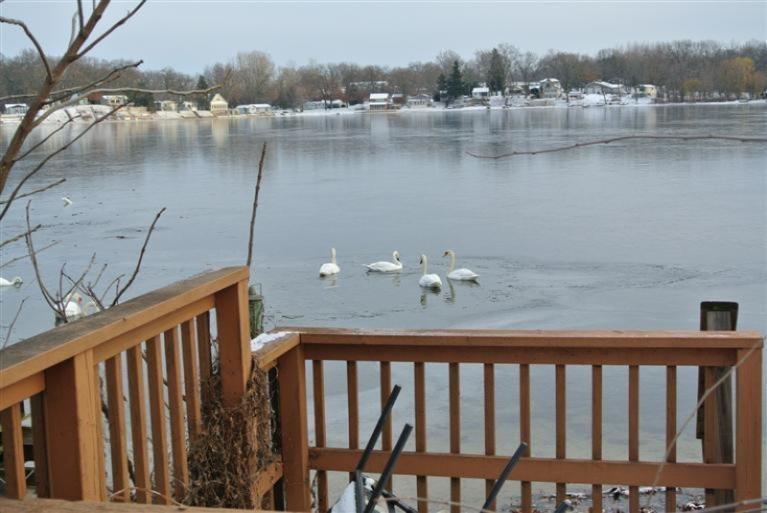 63416 West Fish Lake Road Sturgis, MI 49091 - Photo 19 of 20 Additional Photo