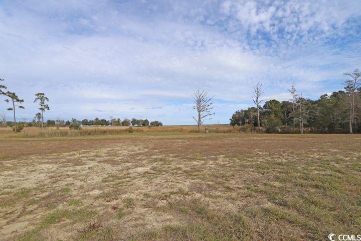 301 Chaff Court Georgetown, SC 29440 - Photo 6 of 11 Gallery Image 6