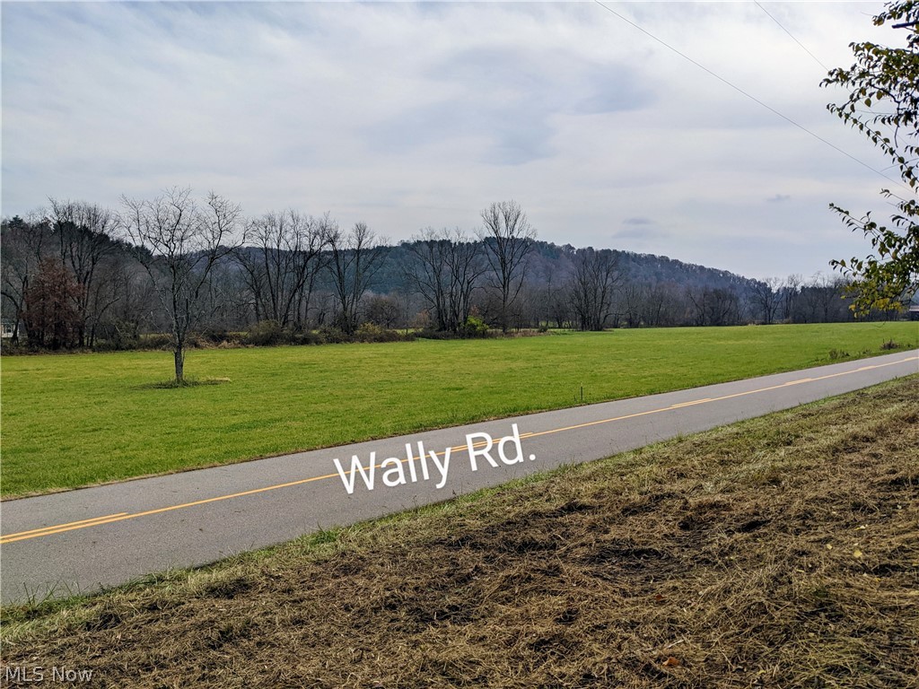 Wally Road Glenmont, OH 44628 - Photo 3 of 3