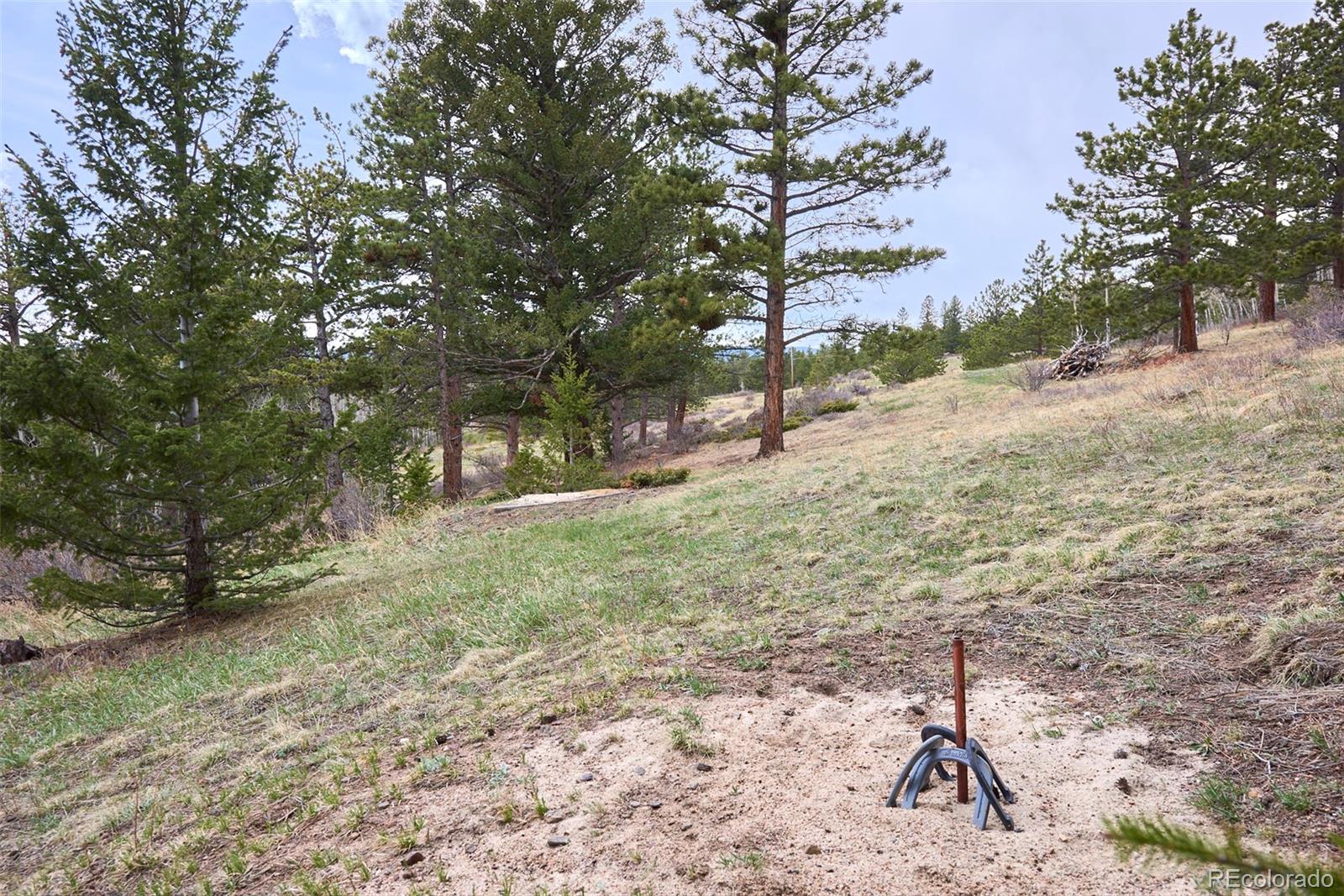 918 Ridge Road Nederland, CO 80466 - Photo 25 of 35 a view of a yard with a tree