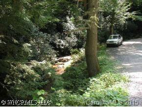 N/a Hominy Branch Road Hendersonville, NC 28792 - Photo 1 of 3 Gallery Image 1