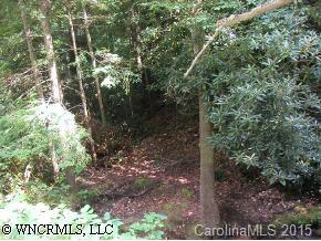 N/a Hominy Branch Road Hendersonville, NC 28792 - Photo 2 of 3 Gallery Image 2