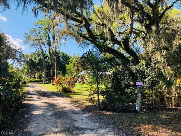 a view of a tree with yard