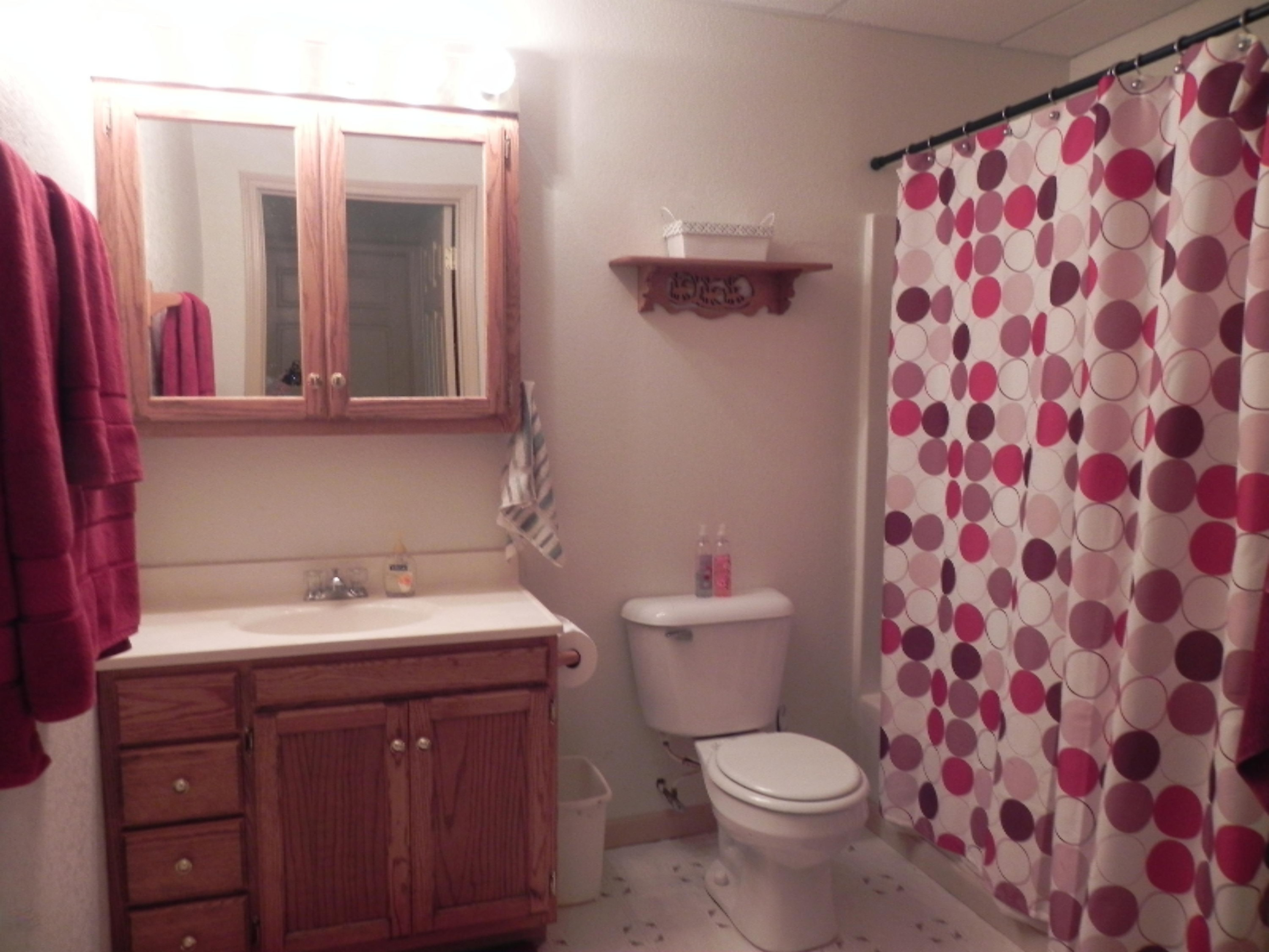 38663 76th Avenue Decatur, MI 49045 - Photo 19 of 37 DSCN7140